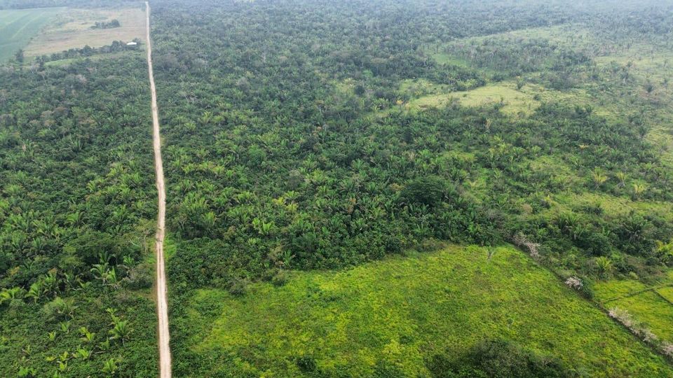 Schönes Grundstück im warmen & sonnigen Belize in Lage