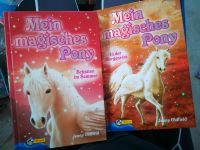 Mein magisches Pony - Fantasy Bücher Kinder Einhorn Pegasus Hessen - Ahnatal Vorschau