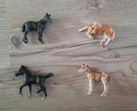 Schleichpferde Schleich Pferde Fohlen Haflinger Nordrhein-Westfalen - Wegberg Vorschau