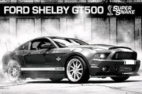 Neu: Ford Mustang Shelby GT500 SuperSnake 61 x 91.5 cm Poster ovp Dortmund - Mitte Vorschau