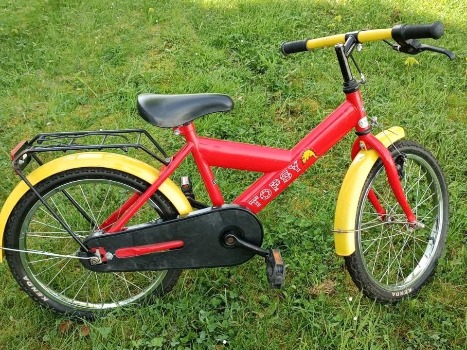 Kinderfahrrad 18 Zoll in Bad Salzungen