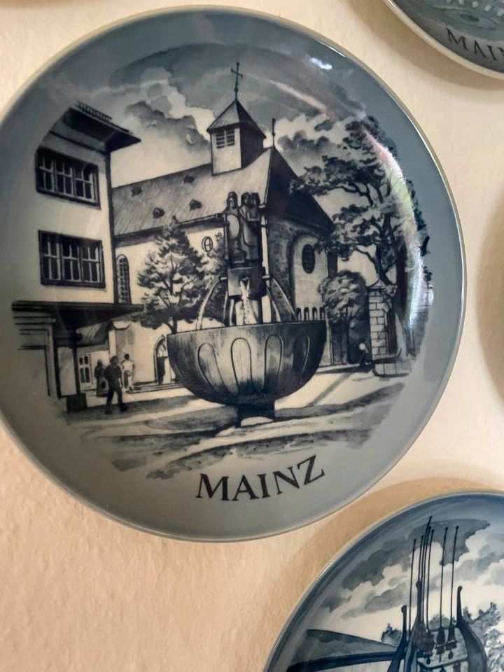 15 Sammelteller Mainzer-Teller verschiedene Motive in Mainz