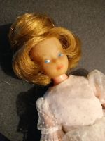 Palitoy Toots/Snouky/Cricket Doll (Barbie) 1965 # 30601 Nordrhein-Westfalen - Stemwede Vorschau