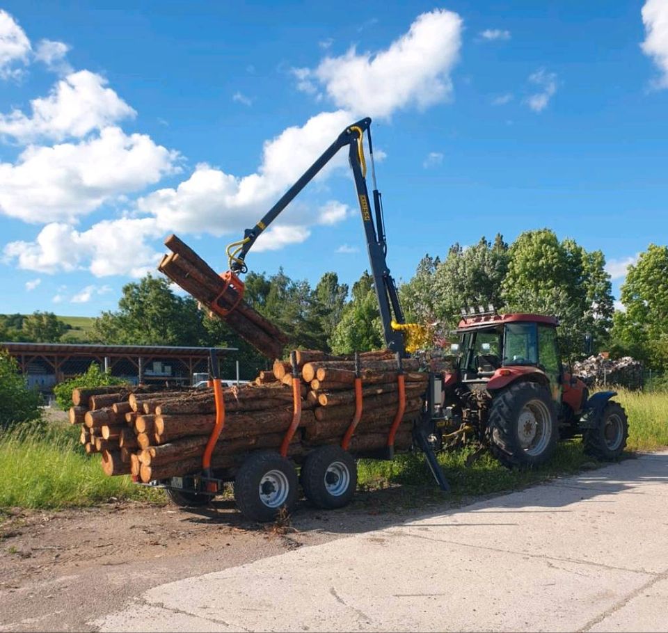 Rückewagen Holzwagen SBF 7t + 5,4m Kran Made by KTS Schweden in Frankenblick