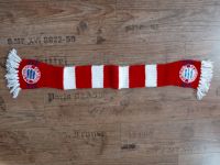 FC Bayern München Schal für Kinder  *handmade, selbst gestrickt* Sachsen - Schöneck Vorschau