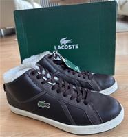 Lacoste High Sneaker gefüttert in braunen Leder in der Gr.43.NEU! Bayern - Starnberg Vorschau