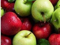 Suche Rückschnitt von Bäumen: Apfel. Weide…Birke für die Pferde Niedersachsen - Pattensen Vorschau