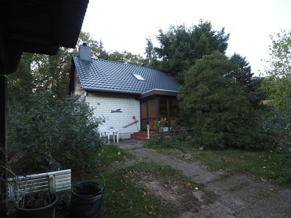 Kleines Einfamilienhaus auf großem Grundstück mit altem Baumbestand in Rosche