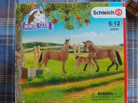 Schleich Horse Club 42405 Pferde und Zäune Schleswig-Holstein - Stafstedt Vorschau