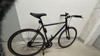 Panther Modena Singelspeed Fahrrad Friedrichshain-Kreuzberg - Friedrichshain Vorschau