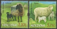 Moldawien 877-878 ° Tiere - Wolle - Karakulschaf - Argali-Schaf Nordrhein-Westfalen - Kamen Vorschau