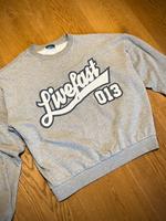 Lfdy Sweater L grau Bremen - Horn Vorschau