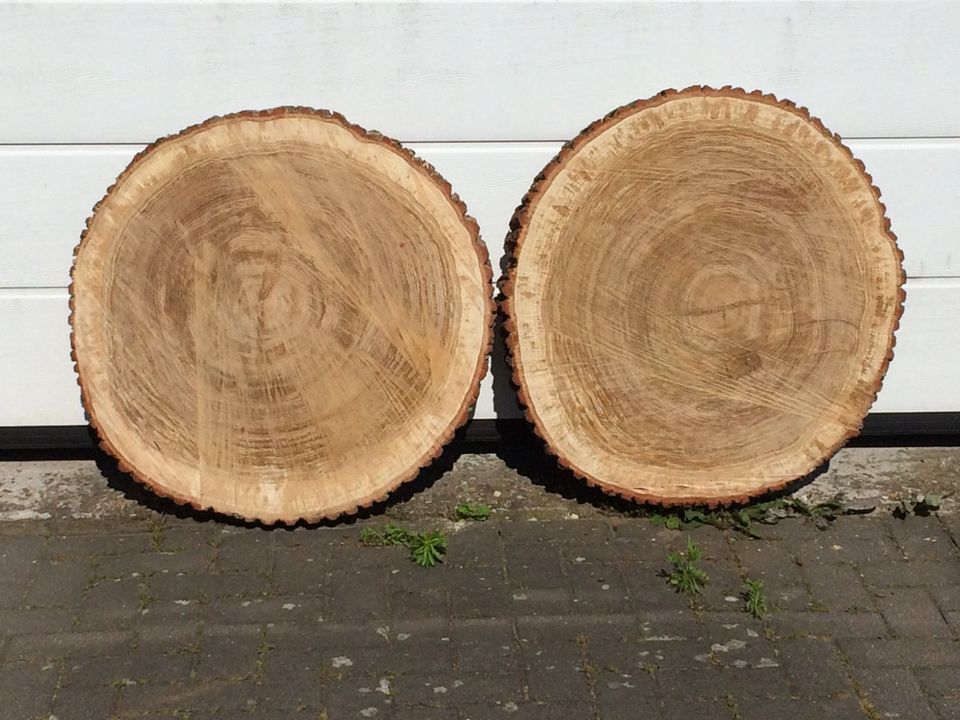 Terrassen- Balkontische Holzscheiben Holzstämme Eiche Esche Buche in Bad Bramstedt