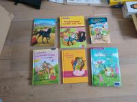 Ostwind, Bibi und Tina, Leseanfänger, Kinderbücher, top Zustand Baden-Württemberg - Horb am Neckar Vorschau