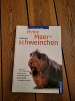 Buch: Meine Meerschweinchen Herzogtum Lauenburg - Lauenburg Vorschau