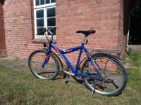 Fahrrad 26 Zoll Winora Freak Niedersachsen - Obernholz Vorschau