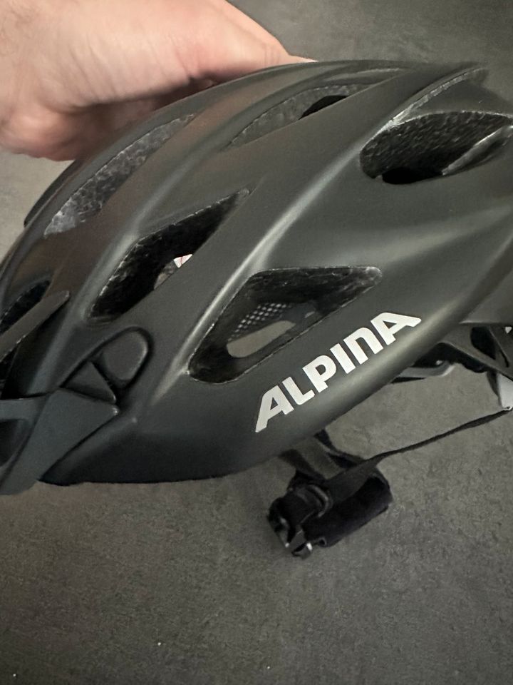 Fahrradhelm Alpina grau 52-57cm in Gemmingen