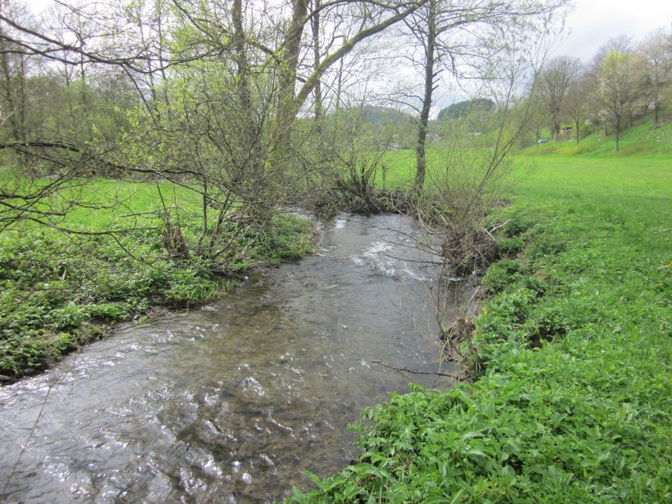 Fischereiverpachtung, Bachverpachtung, Angeln, Fischen in Bad Berleburg