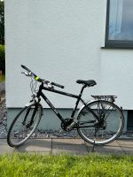 Herren Trekking Fahrrad, Rahmengröße 55 Bielefeld - Heepen Vorschau