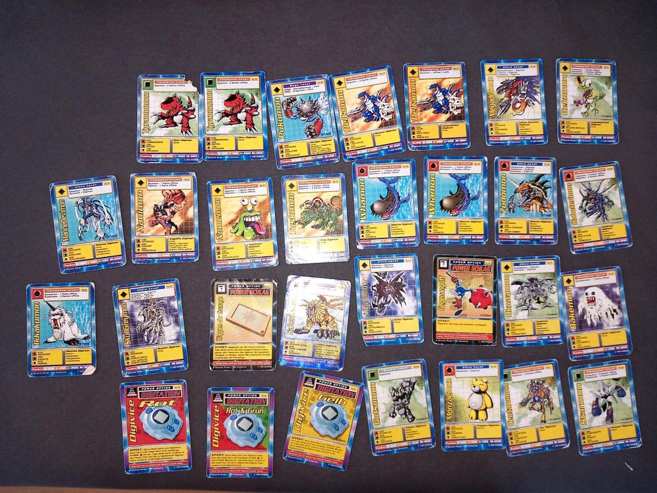 Digimon 30 Karten 1999 in Schlüsselfeld