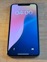 iPhone XS Max 256 GB rose Dresden - Blasewitz Vorschau