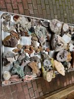 Mineralien Sammlung Gestein Bergkristall Achat Konvolut Baden-Württemberg - Oberderdingen Vorschau