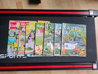 Jede Menge Zeitschriften Garten und schöner wohnen Nordrhein-Westfalen - Siegen Vorschau