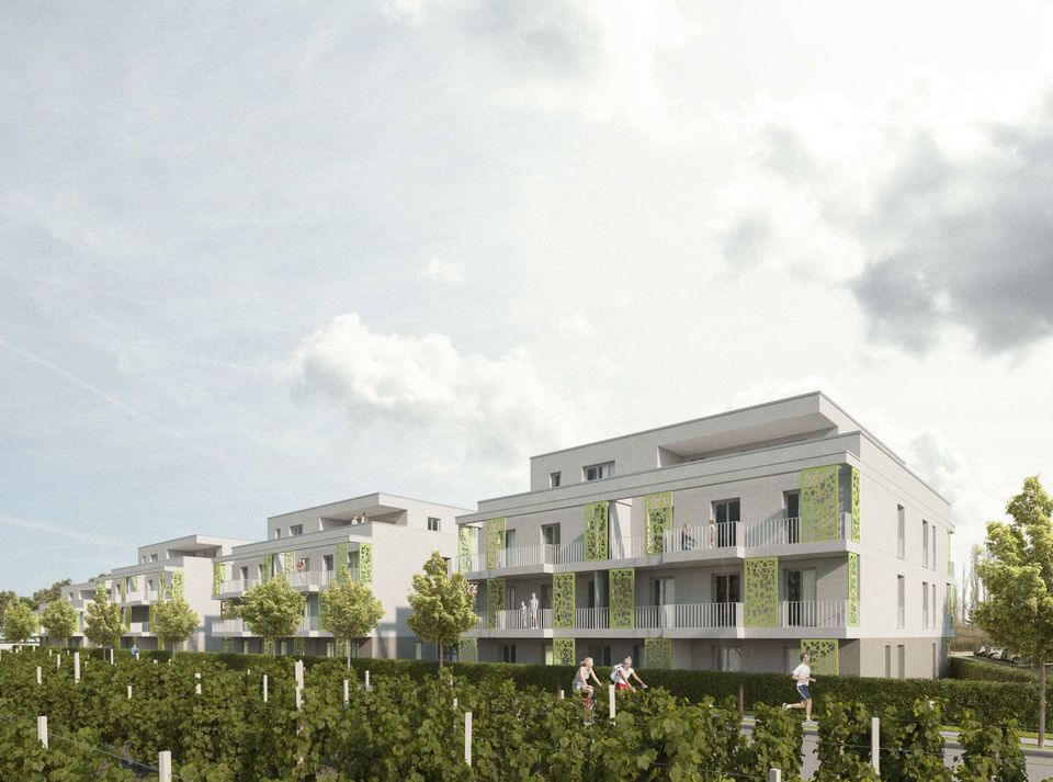 Großzügige 4-Zimmer Wohnung mit großer Terrasse und Gartenanteil WE21 in Landau in der Pfalz