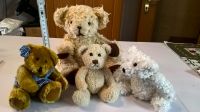 4 süße Deko Teddybären Mecklenburg-Vorpommern - Wolgast Vorschau