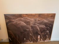 XL Leinwand Bild Elefanten Nordrhein-Westfalen - Dahlem Vorschau