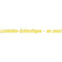 Lehrkraft (m/w/d) für Elementare Musikpädagogik Baden-Württemberg - Leinfelden-Echterdingen Vorschau