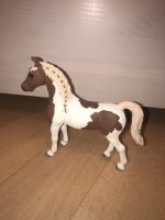 Schleich 13838 Araber Pinto Stute Hessen - Pohlheim Vorschau