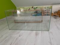 Terrarium nagarium zwei Größen vorhanden Glas Draht Deckel Saarland - Kirkel Vorschau