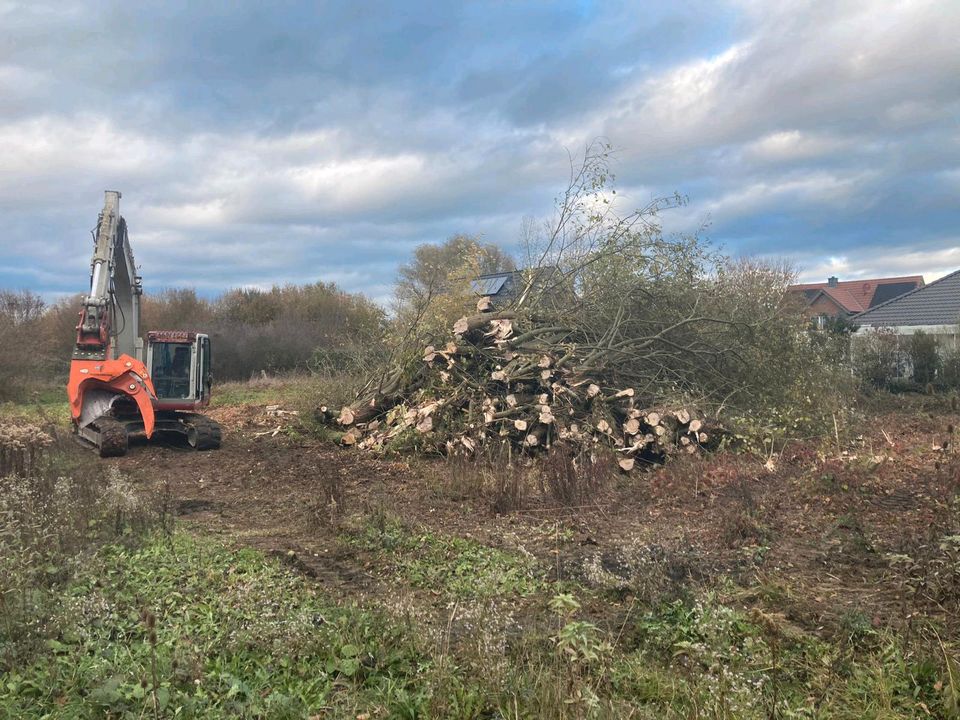 Heckenpflege, Heckenschnitt, Baumfällungen, Flächenrodungen in Everswinkel