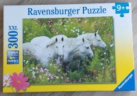 Ravensburger Puzzle XXL 9+ 300 Teile Pferd Pferde Schimmel Bayern - Wörth an der Isar Vorschau