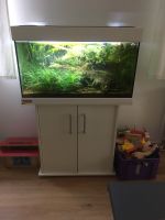 Aquarium ehem Juwel Fische Pflanzen Bothfeld-Vahrenheide - Isernhagen-Süd Vorschau