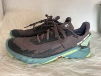 Salomon Alphacross 4 Goretex Gr. 41 1/3 UK 7.5 Hessen - Weilmünster Vorschau