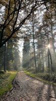Waldgrundstück Wald zum Kauf gesucht Harburg - Hamburg Cranz Vorschau