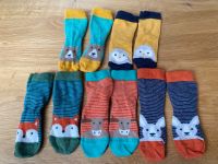 Frugi Finlay Socks / 5er Pack Strümpfe 6-12 Monate neu Hessen - Bickenbach Vorschau