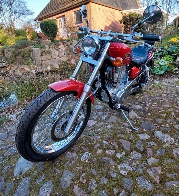 Suzuki Savage  LS 650 in Drestedt