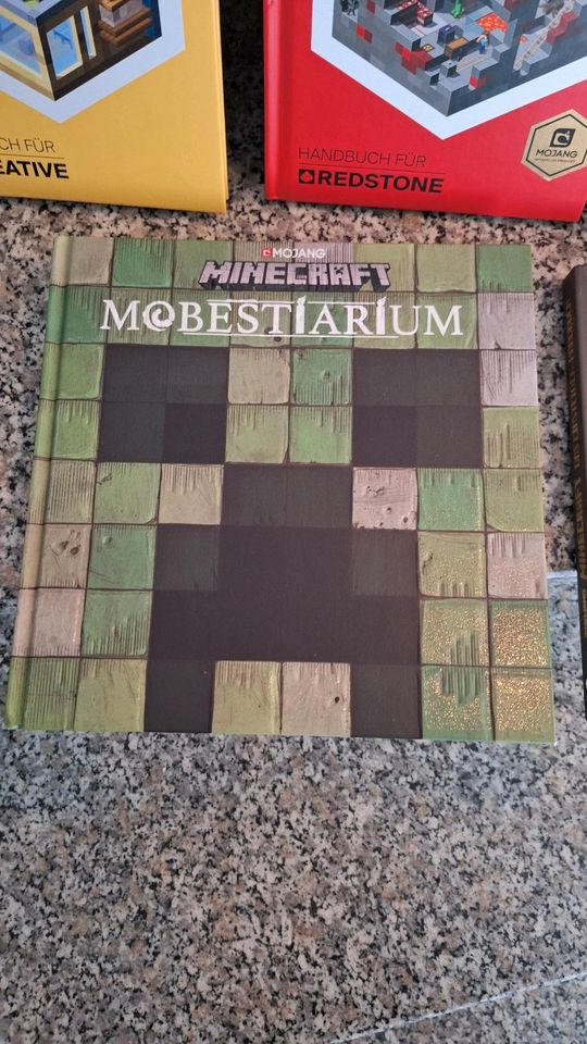 6 Minecraft Bücher Lösungsbuch Handbuch in sehr gutem Zustand in Mayen