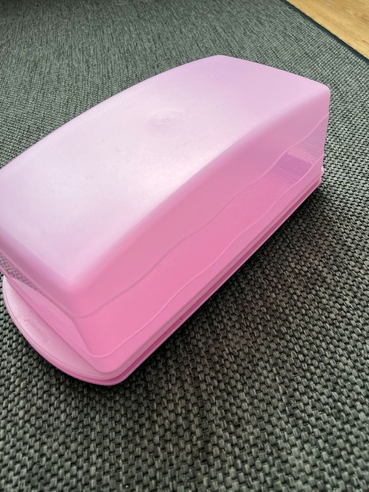 Tupperware Kuchen Box lila in Garbsen