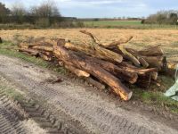 Feuerholz/Kaminholz Lüneburger Heide - Neuenkirchen Vorschau