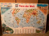 Weltkarte, Was ist was, Tier-Welt-Karte Köln - Braunsfeld Vorschau