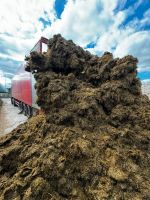 Silage Kleegras Silo Grassilage für Milchvieh, Mast oder Biogas Saarland - Weiskirchen Vorschau