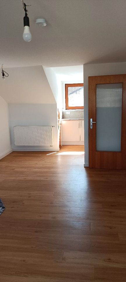 Pforzheim 2 Zimmer Wohnung 46 qm in Pforzheim