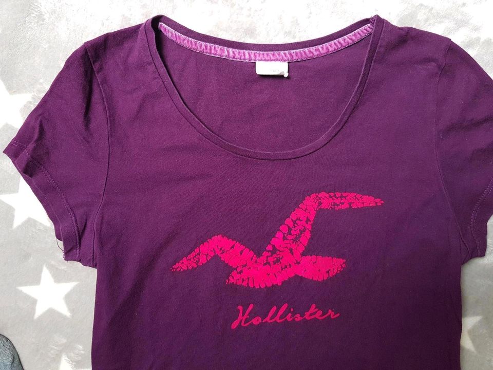 Hollister T-Shirt Gr. L 38 / 40 lila in Oranienburg