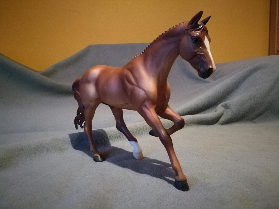 Breyer pferde Traditional und classic sowie Zubehör in Ramsthal