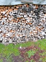 Verkaufe trockenes Feuerholz Brennholz Holz Kaminholz Sachsen - Priestewitz Vorschau