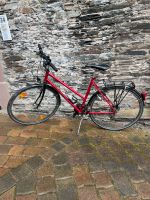 Peugeot Fahrrad Rheinland-Pfalz - Traben-Trarbach Vorschau